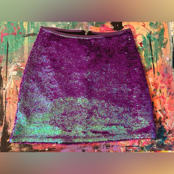 Wild Fable - Iridescent Sequined Skirt - Size XS - Picture 3 of 10